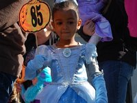 DSC 0784- web